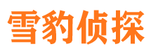 惠城市婚姻调查